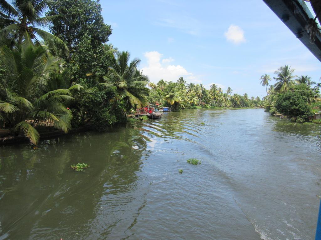Alappuzha 마라리 드림즈 비앤비 빌라 객실 사진