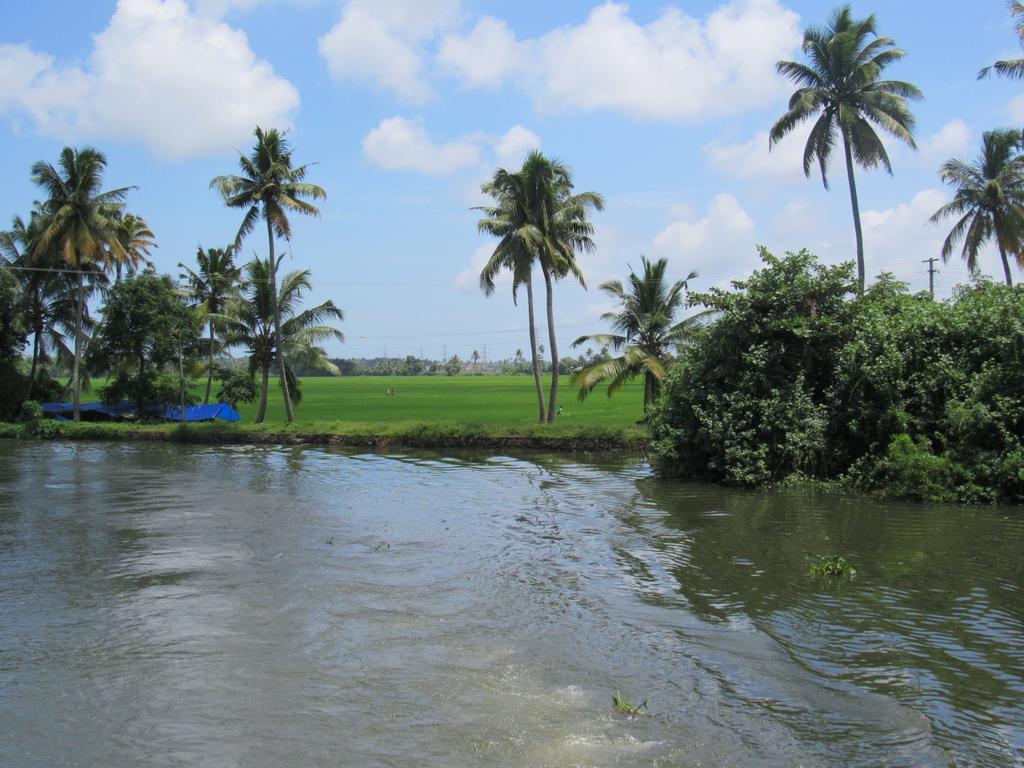 Alappuzha 마라리 드림즈 비앤비 빌라 객실 사진
