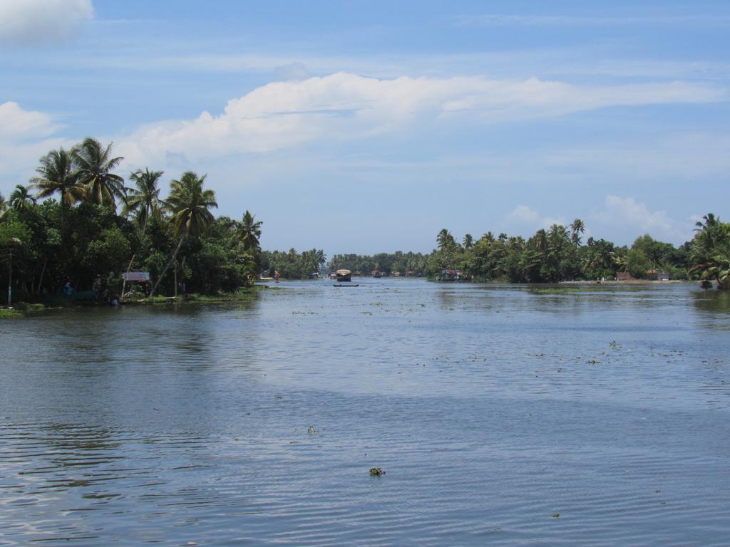 Alappuzha 마라리 드림즈 비앤비 빌라 객실 사진
